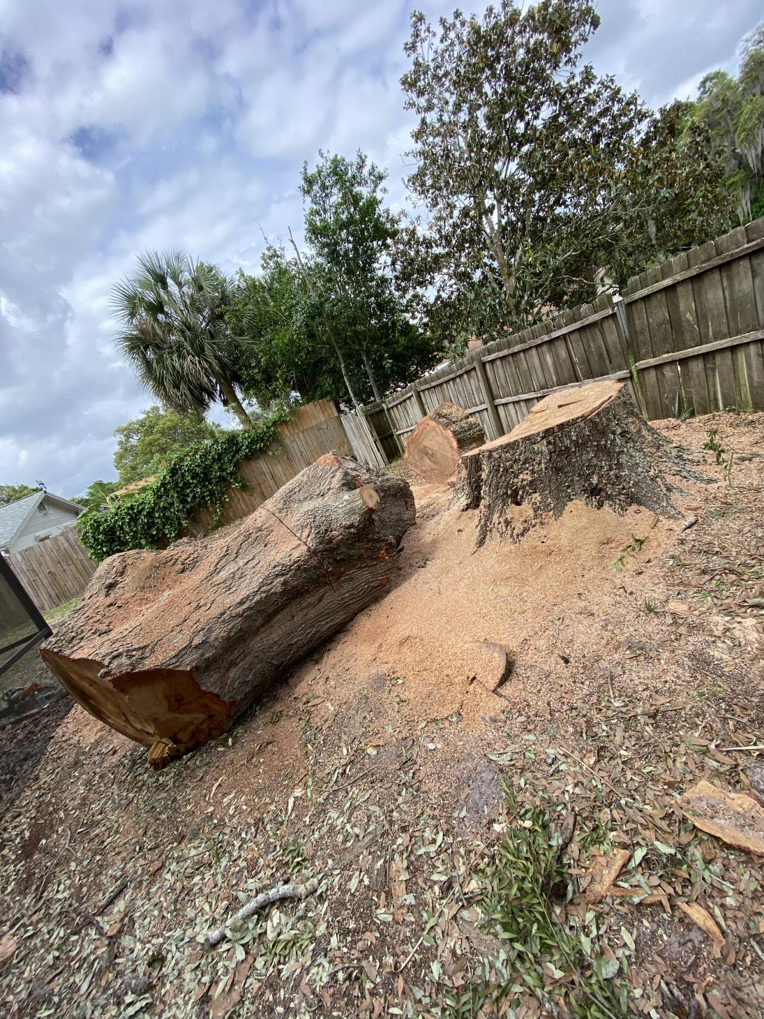 Hobbs Tree Care: Service Image-11 Hobbs Tree Care: Service Image-11