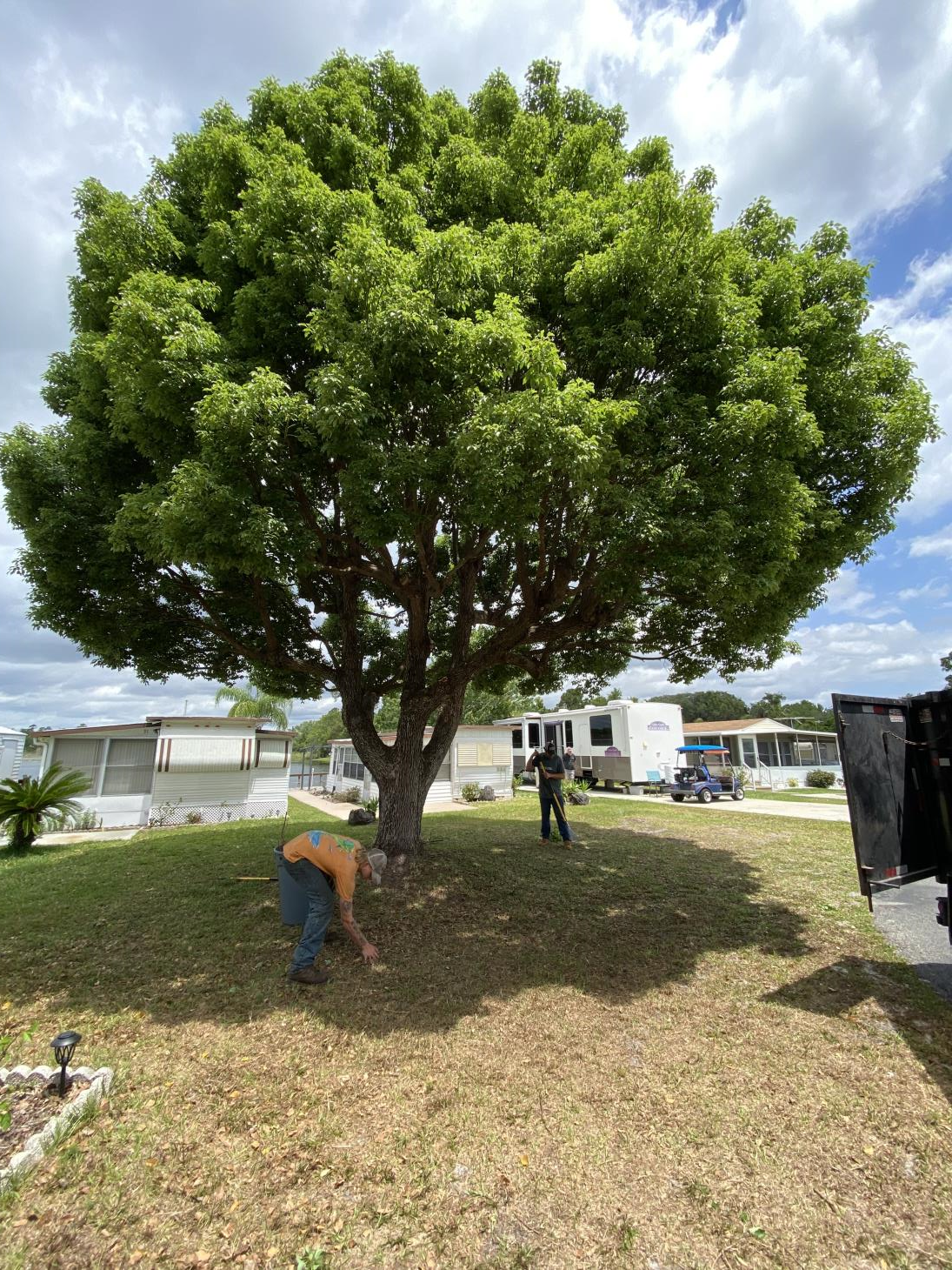 Hobbs Tree Care: Service Image-1 Hobbs Tree Care: Service Image-1