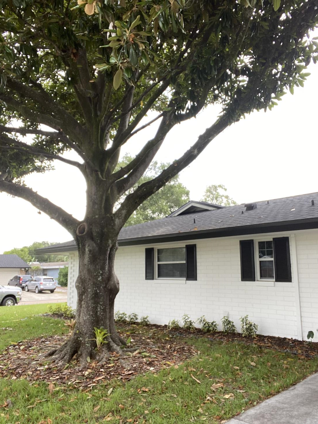 Hobbs Tree Care: Service Image-2