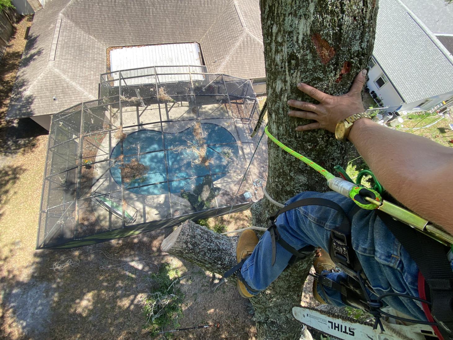 Hobbs Tree Care: Service Image-3